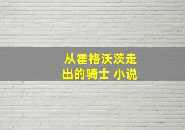 从霍格沃茨走出的骑士 小说